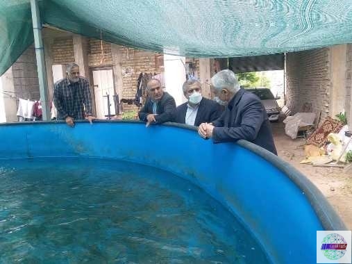 بازدید مدیر کل محترم شیلات استان گیلان از مزارع پرورش ماهی شهرستان املش