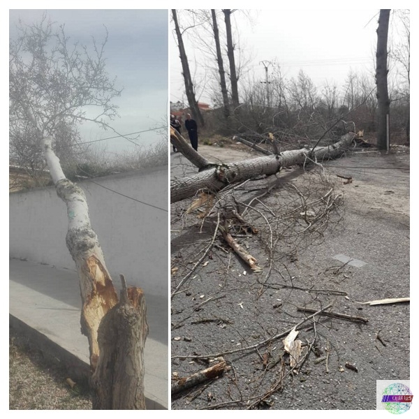 خسارت ۲۰ میلیارد ریالی طوفان و تند باد به شبكه های توزیع برق استان گیلان