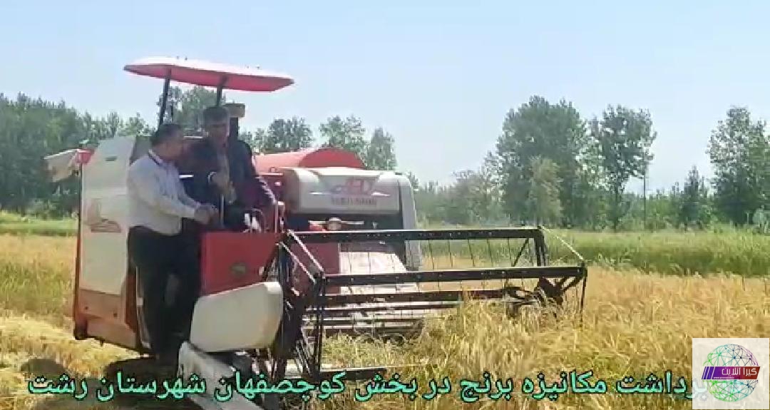 برداشت مکانیزه برنج در اراضی شالیزاری با حضور ریاست سازمان جهاد کشاورزی گیلان