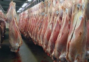تولید ۲۳ هزار تُن گوشت قرمز در استان گیلان