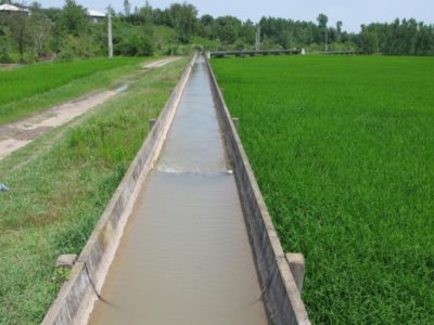 برنجکاران زحمتکش گیلانی موضوعات کمبود آب کشاورزی را به ادارات آبیاری اطلاع دهند