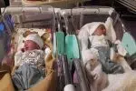 اولین نوزادان بیمارستان شهید نورانی تالش در سال ۱۴۰۳؛ پسرخاله‌های دوقلو