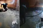 راه اندازی سیستم گندزدایی آب ژاول در 5 تاسیسات آبرسانی شهرستان شفت
