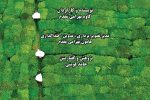 “مستند پرتره شیون فومنی”، منتخب هجدهمین جشنواره بین المللی فیلم مستند ایران” سینما حقیقت”