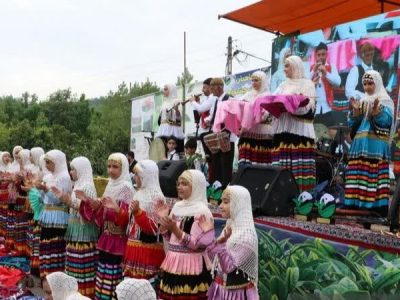 برداشت برگ سبز چای، جشنی به رنگ طراوت و زندگی در لنگرود به روایت تصویر