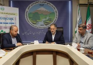 برخورد شدید با تخریب کنندگان منابع طبیعی و قاچاقچیان چوب