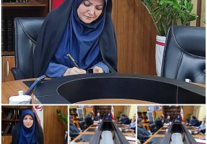 سینما، در نشاط اجتماعی و توسعه فرهنگی، اهمیتی بالایی دارد