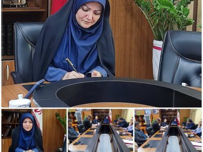 سینما، در نشاط اجتماعی و توسعه فرهنگی، اهمیتی بالایی دارد