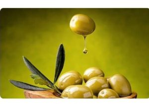رونمایی از وبسایت زیتون آسیا، فروشگاه آنلاین زیتون