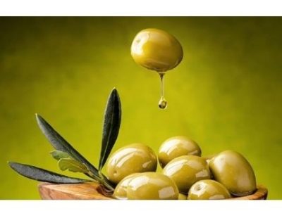 رونمایی از وبسایت زیتون آسیا، فروشگاه آنلاین زیتون