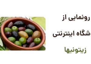 رونمایی از وبسایت زیتونیها، فروشگاه اینترنتی زیتون