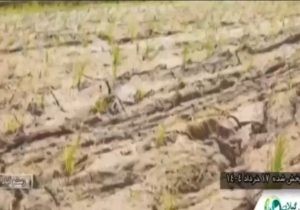 رفع فوری مشکل کم‌آبی روستای شهران در کمتر از ۲۴ ساعت