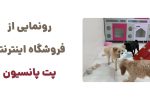 معرفی پت پانسیون: مقصدی ایده‌آل برای دوستداران حیوانات خانگی