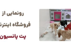 معرفی پت پانسیون: مقصدی ایده‌آل برای دوستداران حیوانات خانگی