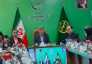 امنیت غذایی در اولویت؛ گیلان پیشتاز تولید برنج کشور