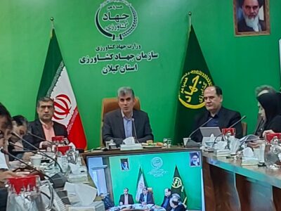 امنیت غذایی در اولویت؛ گیلان پیشتاز تولید برنج کشور