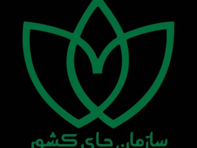 هشدار نماینده مجلس نسبت به انحلال سازمان چای کشور: تکرار تجربه تلخ گذشته تهدیدی جدی برای صنعت چای و کشاورزان شمال