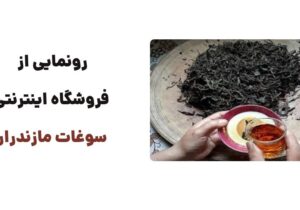 رونمایی از وبسایت سوغات مازندران: فروشگاه اینترنتی ویژه محصولات محلی و سنتی