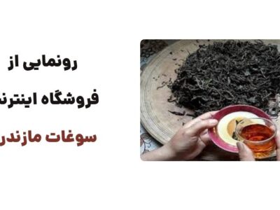 رونمایی از وبسایت سوغات مازندران: فروشگاه اینترنتی ویژه محصولات محلی و سنتی
