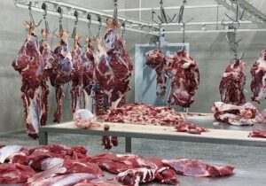 آیا مدیرعامل اتحادیه سراسری دامداران مرجع مناسبی برای شایعه گوشت آلوده در رشت است!؟