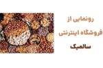 معرفی وبسایت سالمیک، فروشگاه آنلاین خشکبار