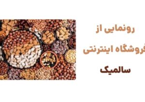 معرفی وبسایت سالمیک، فروشگاه آنلاین خشکبار