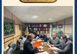 گیلان آماده پاکسازی پارکینگ‌ها از خودروهای رسوبی؛ عزم مشترک اموال تملیکی و پلیس