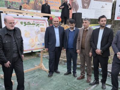 دومین جشنواره شکرانه برداشت پرتقال در روستای پرشکوه برگزارشد
